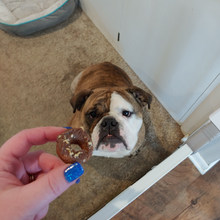 Load image into Gallery viewer, Mini Donuts